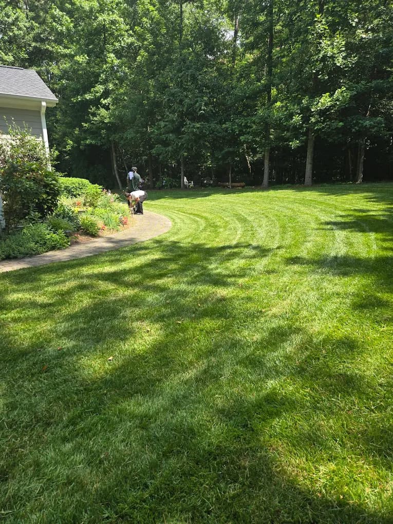 The best lawn care in the Triangle.